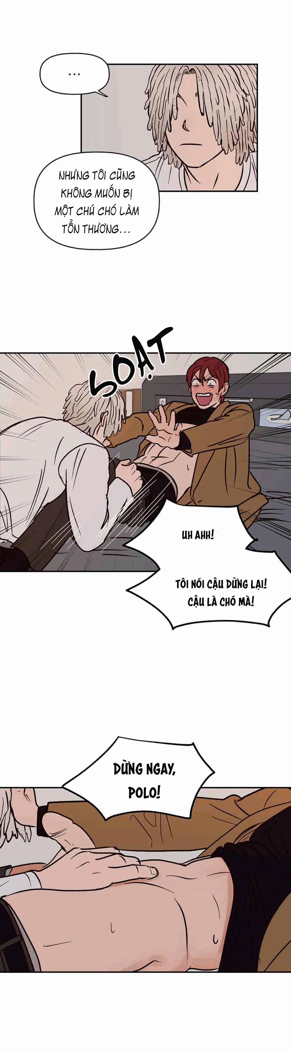 CHỦ NHÂN CỦA CẬU CHỦ 39 trang 13