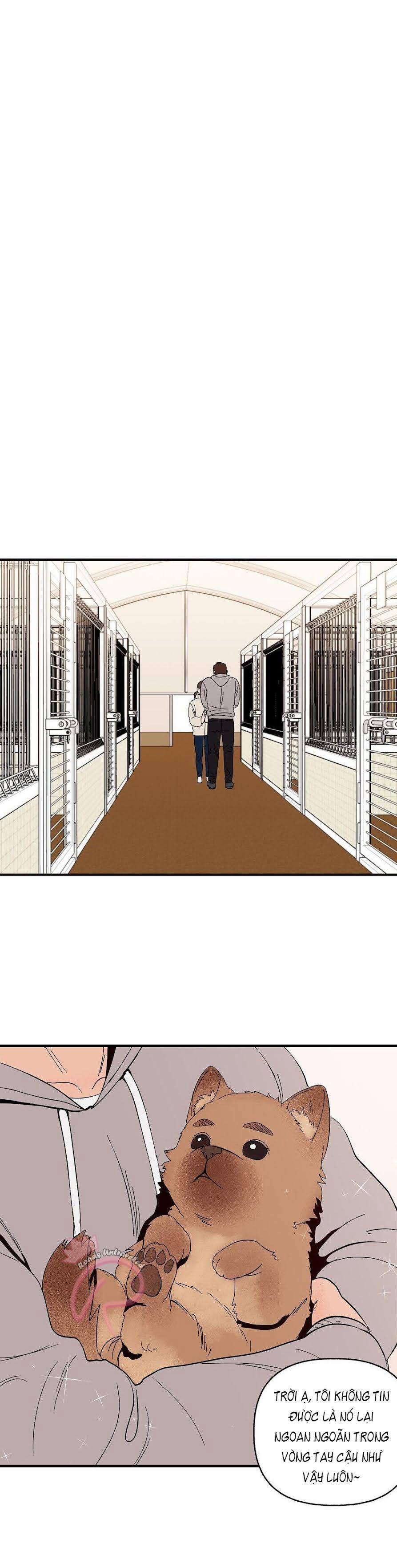 CHỦ NHÂN CỦA CẬU CHỦ 4 trang 11