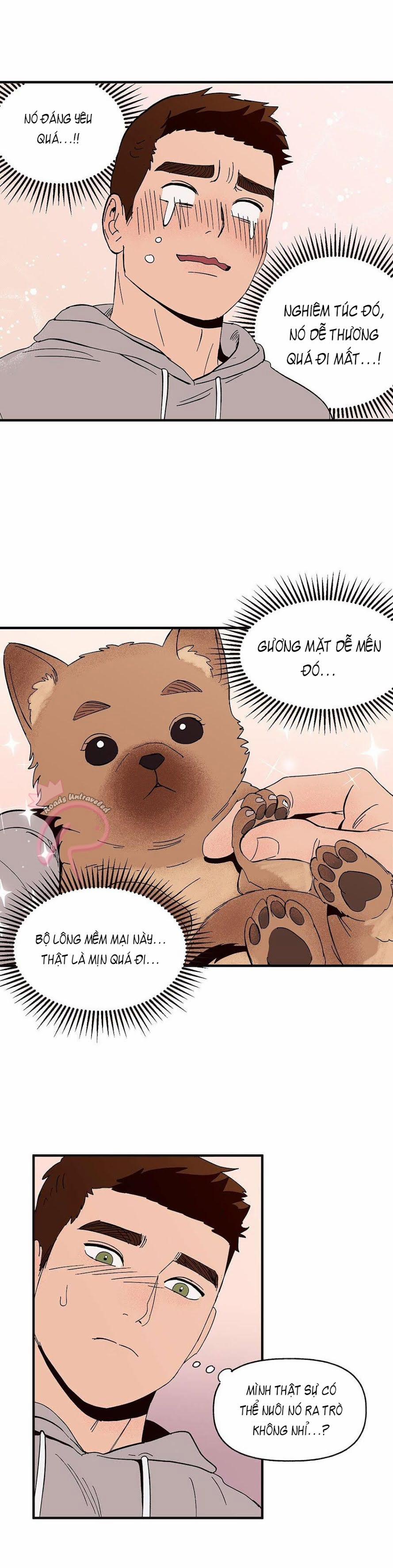 CHỦ NHÂN CỦA CẬU CHỦ 4 trang 12