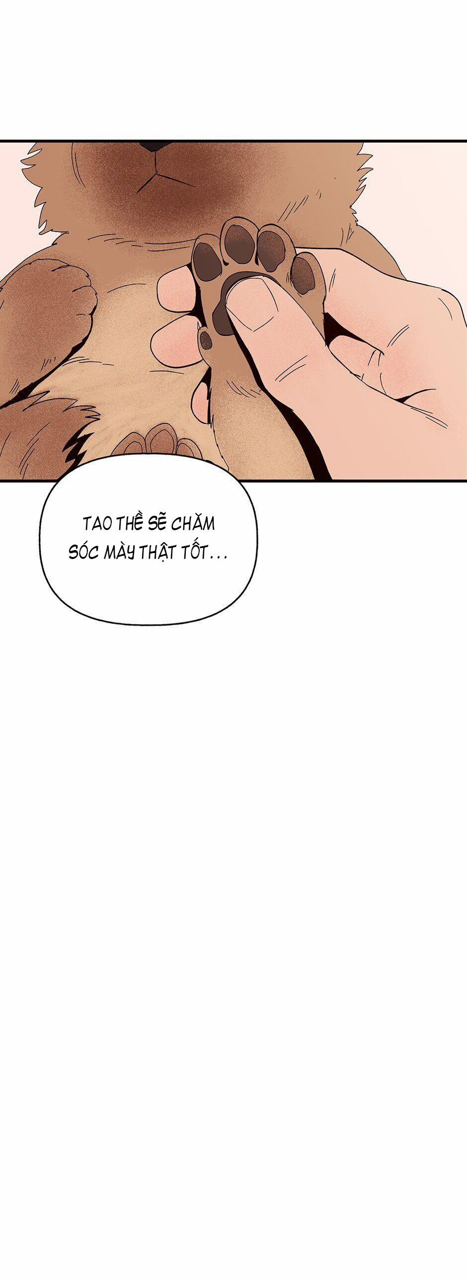 CHỦ NHÂN CỦA CẬU CHỦ 4 trang 13