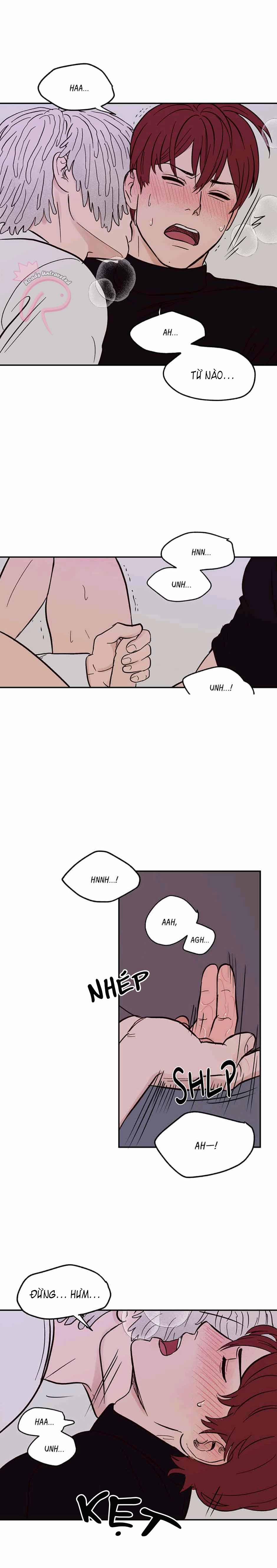 CHỦ NHÂN CỦA CẬU CHỦ 40 trang 13