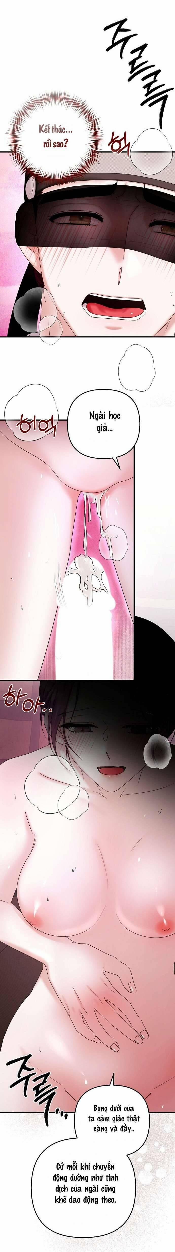 Chủ Nhân Của Học Giả 3 trang 1