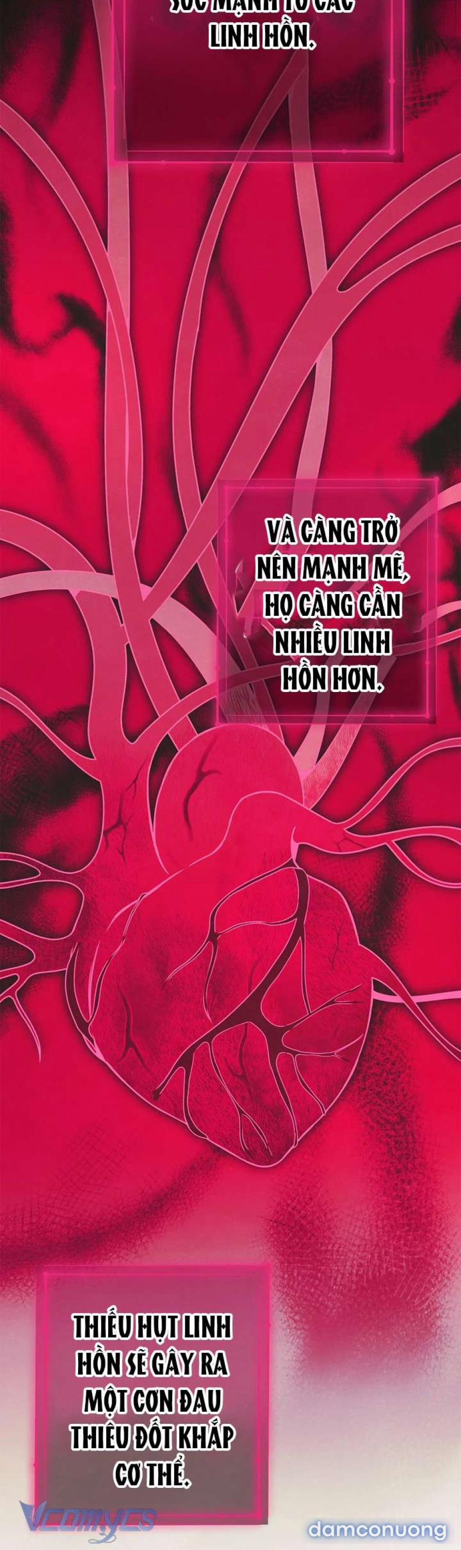 Chủ Nhân Hầm Ngục Hạng S 17 trang 11