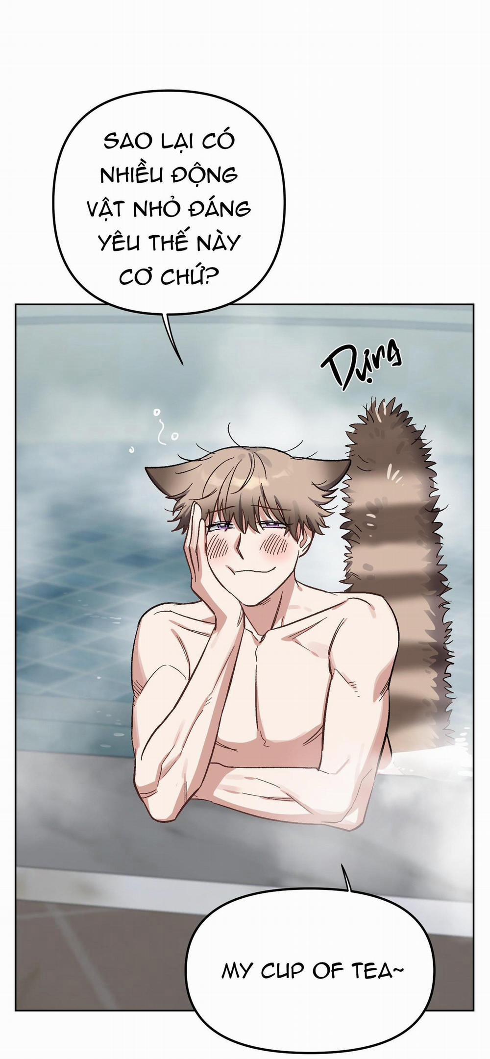 Chú Thỏ Chỉ Cần 3 Giây Là Xuất Tinh 1 trang 16