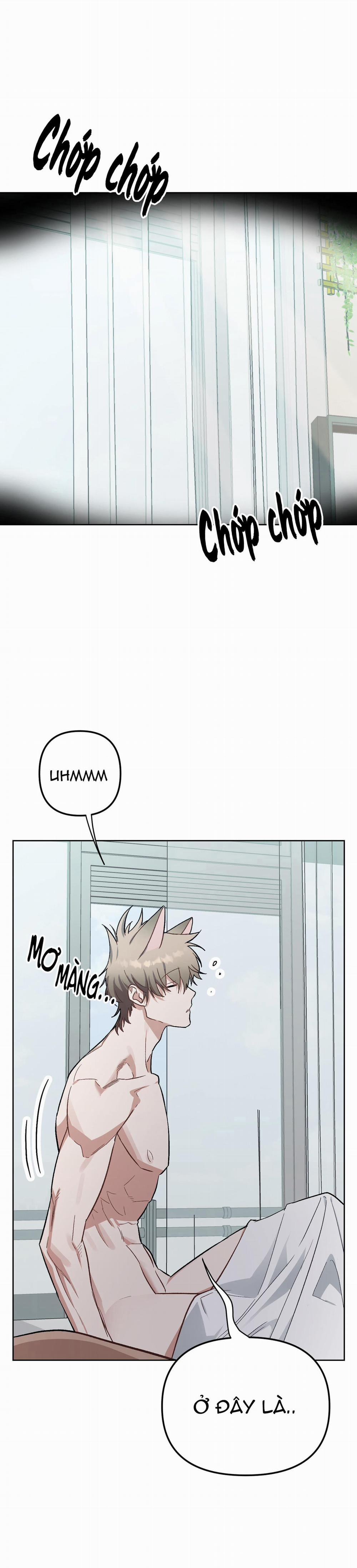 Chú Thỏ Chỉ Cần 3 Giây Là Xuất Tinh 5 trang 0