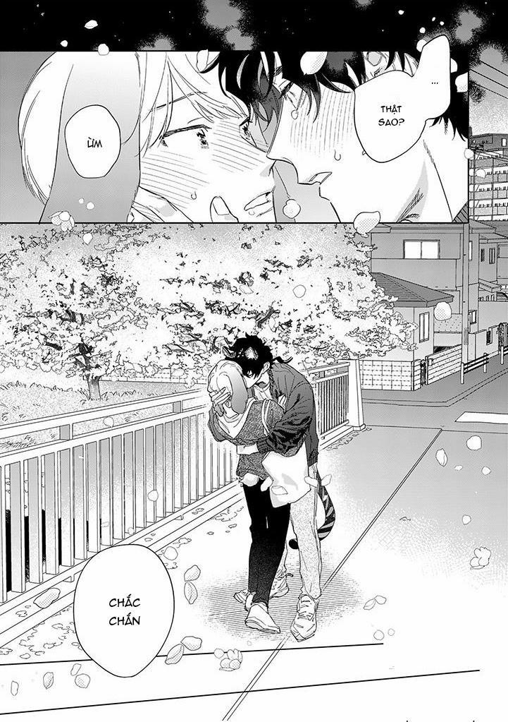 CHÚ THỎ MẬT NGỌT CỦA CHÀNG HỔ LẠNH LÙNG 10 trang 13