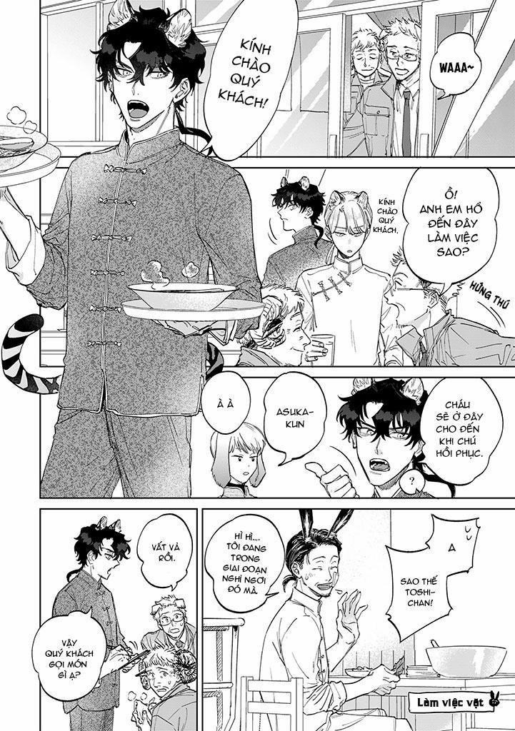 CHÚ THỎ MẬT NGỌT CỦA CHÀNG HỔ LẠNH LÙNG 5 trang 12