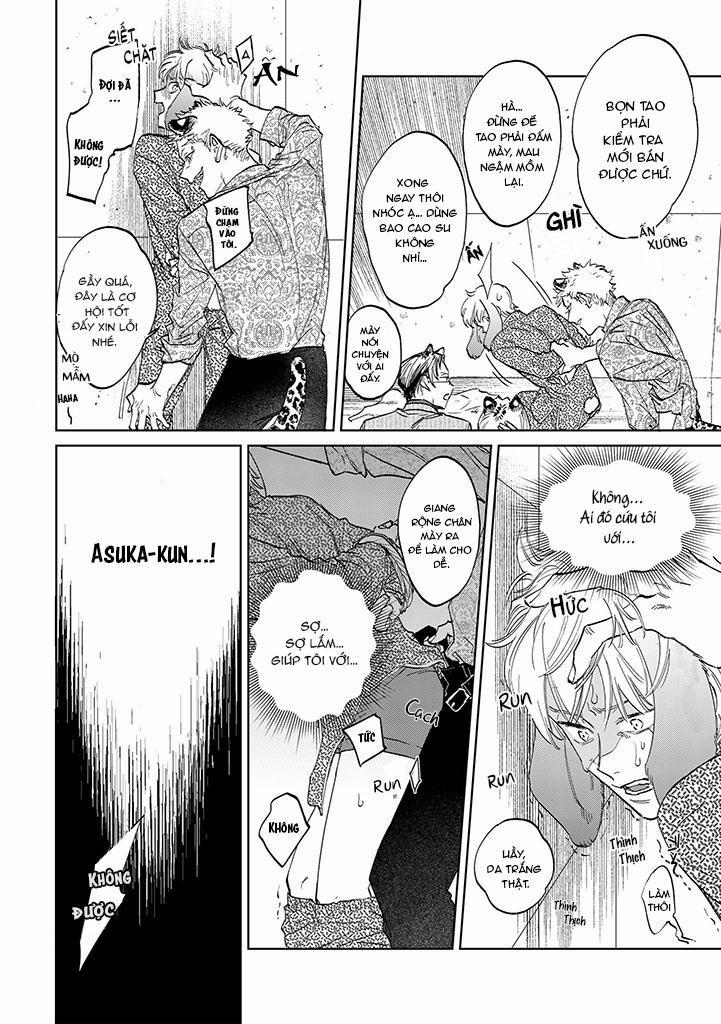 CHÚ THỎ MẬT NGỌT CỦA CHÀNG HỔ LẠNH LÙNG 6 trang 12