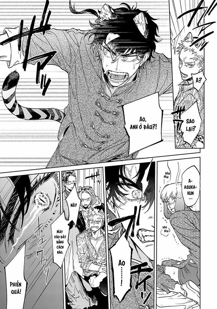 CHÚ THỎ MẬT NGỌT CỦA CHÀNG HỔ LẠNH LÙNG 6 trang 13