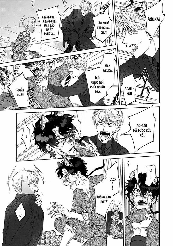 CHÚ THỎ MẬT NGỌT CỦA CHÀNG HỔ LẠNH LÙNG 6 trang 15