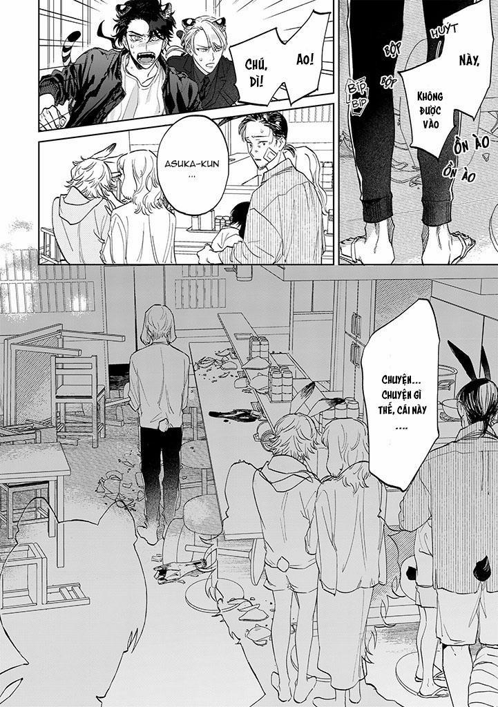 CHÚ THỎ MẬT NGỌT CỦA CHÀNG HỔ LẠNH LÙNG 6 trang 18