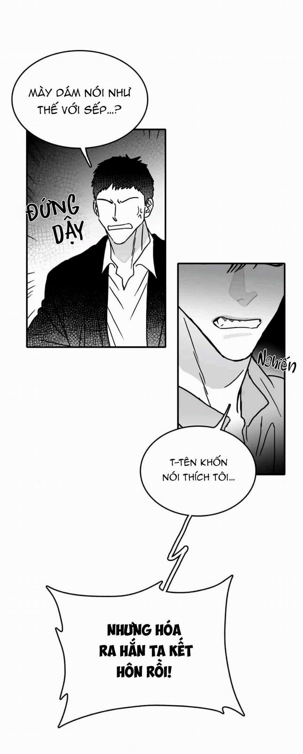 Chúng Ta Đều Là Kẻ Ngốc 10 trang 13