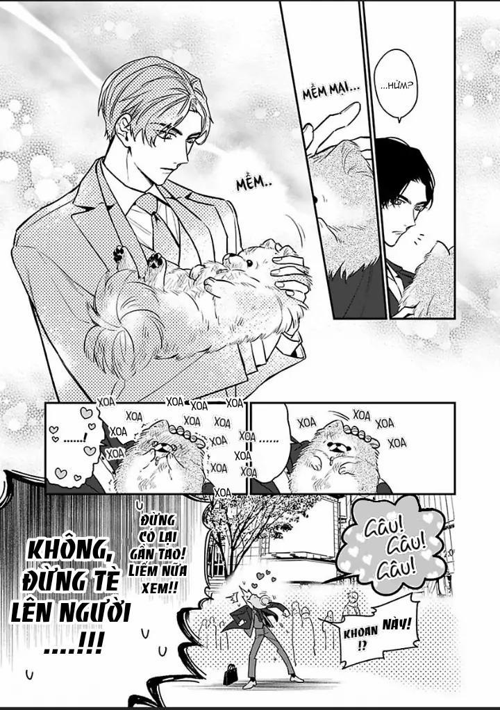 Chúng ta ở bên nhau là bất hợp pháp! 1 trang 11