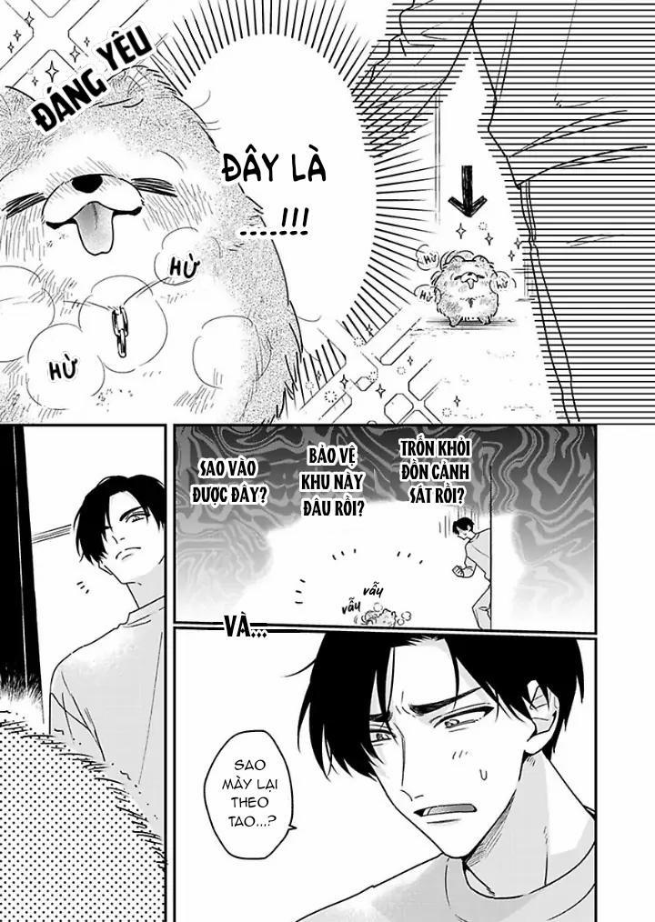 Chúng ta ở bên nhau là bất hợp pháp! 1 trang 19