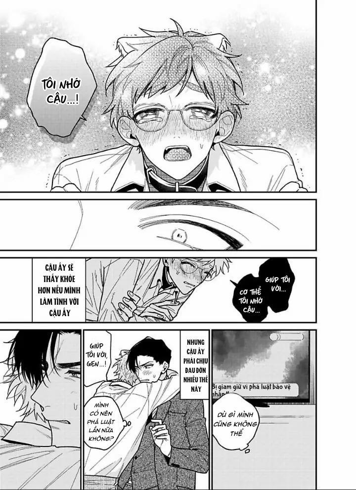 Chúng ta ở bên nhau là bất hợp pháp! 4 trang 15