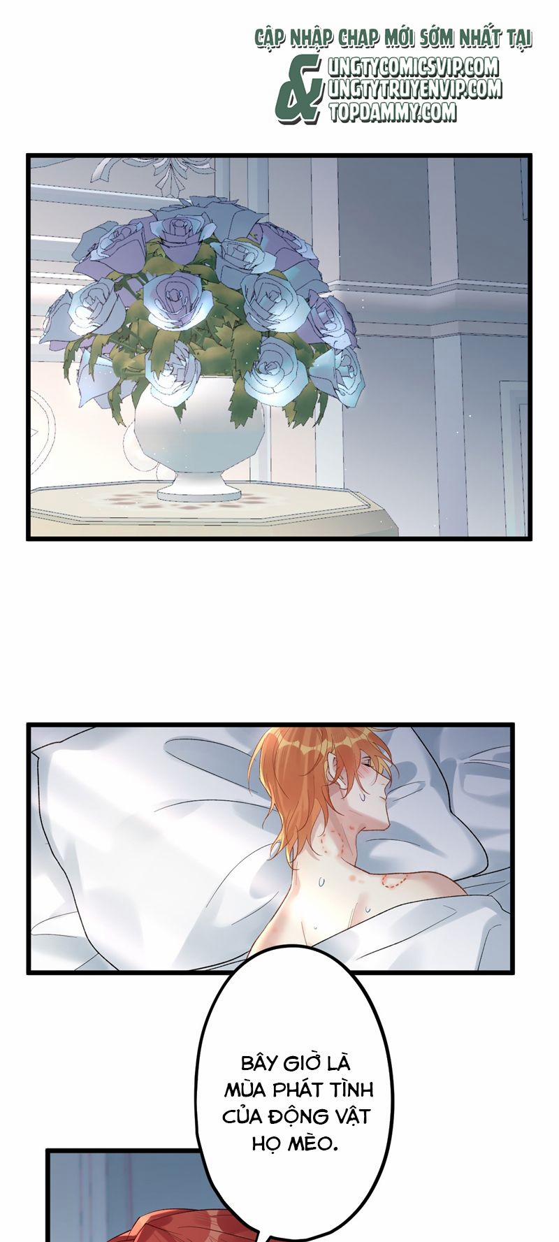 Chung Tình 76 trang 30