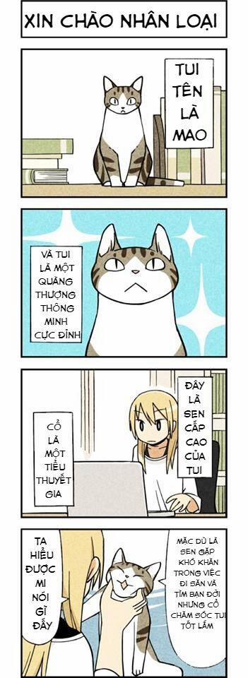 Chúng Tôi Là Mèo 1 trang 0