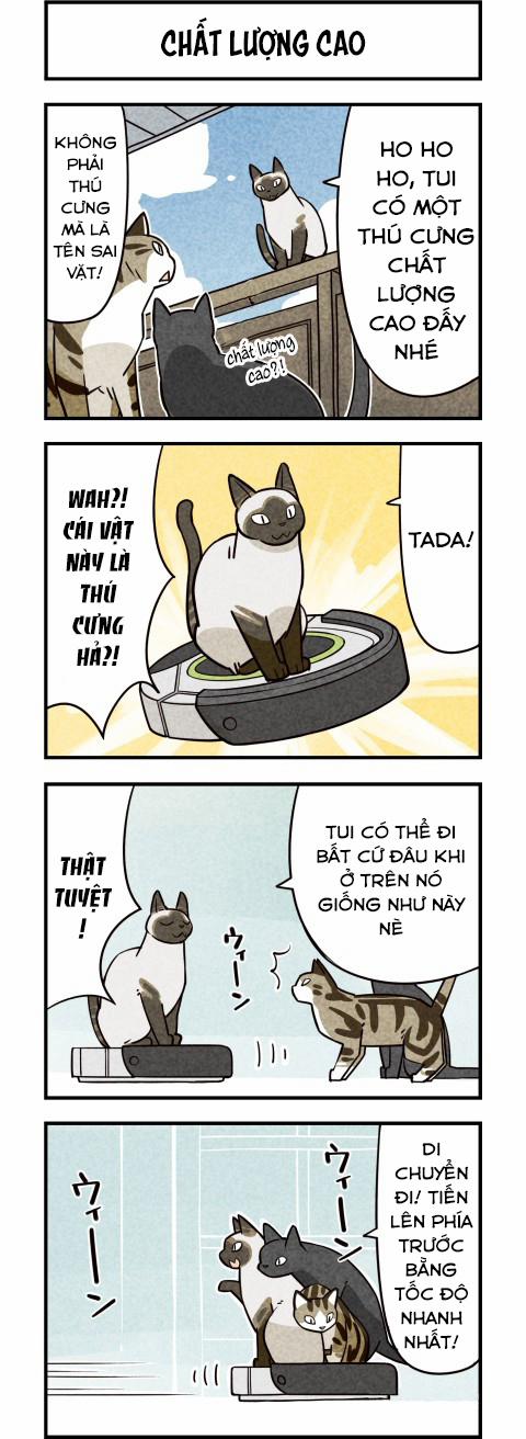 Chúng Tôi Là Mèo 10 trang 3