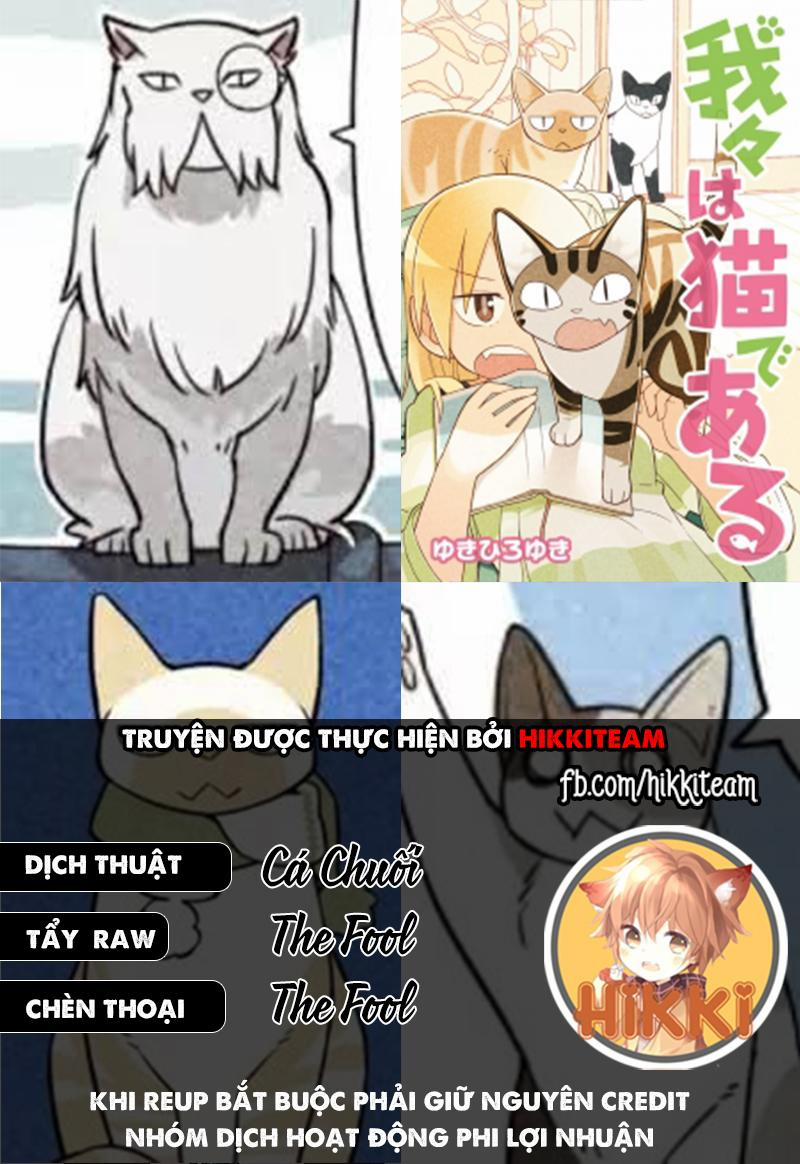 Chúng Tôi Là Mèo 11 trang 0