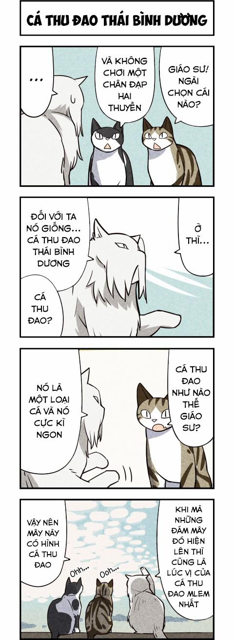 Chúng Tôi Là Mèo 12 trang 4