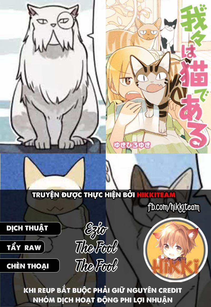 Chúng Tôi Là Mèo 15 trang 0
