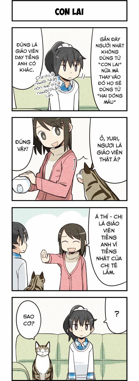 Chúng Tôi Là Mèo 15 trang 4