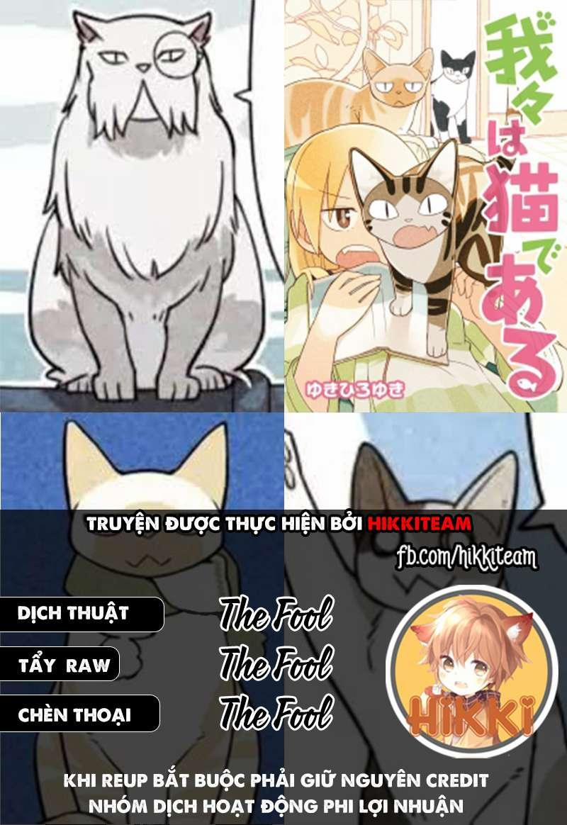 Chúng Tôi Là Mèo 16 trang 0