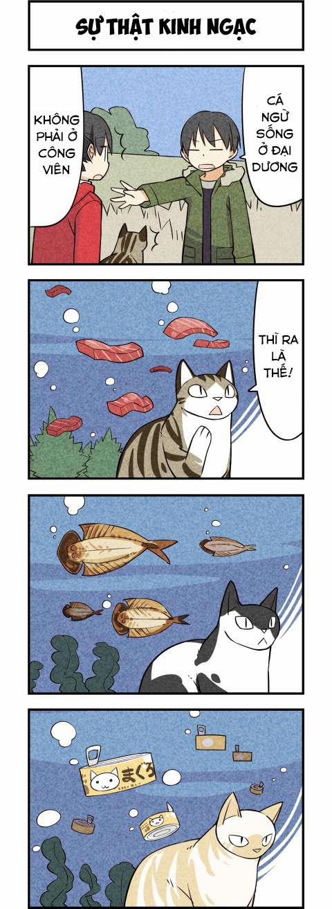 Chúng Tôi Là Mèo 16 trang 4