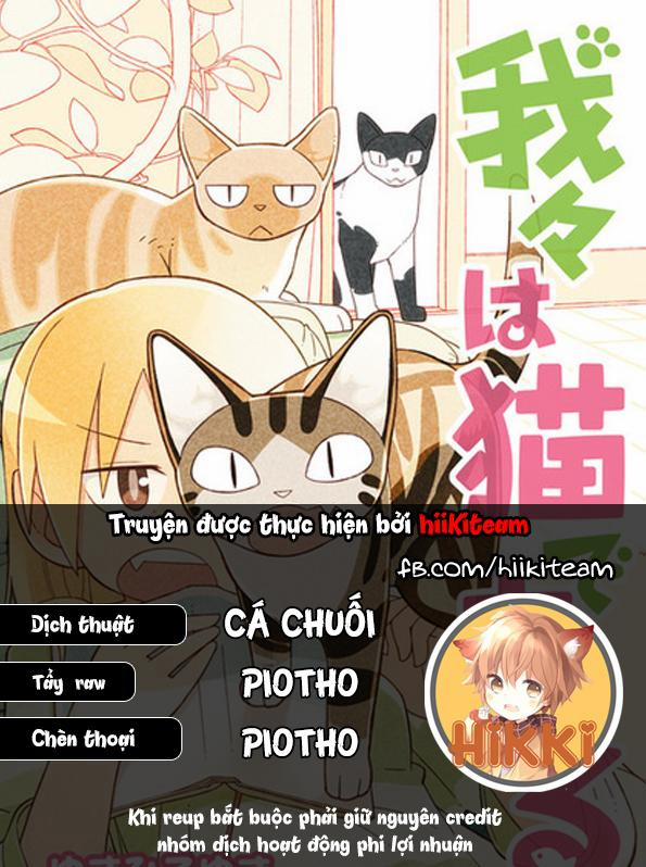 Chúng Tôi Là Mèo 17 trang 0