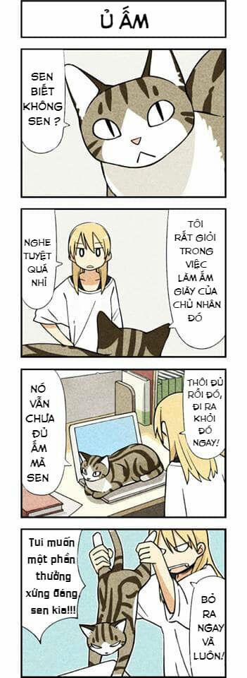Chúng Tôi Là Mèo 2 trang 0