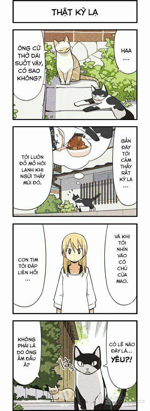 Chúng Tôi Là Mèo 5 trang 1