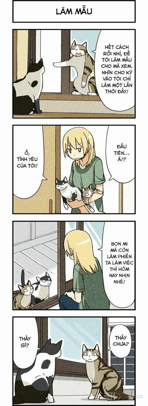 Chúng Tôi Là Mèo 5 trang 3