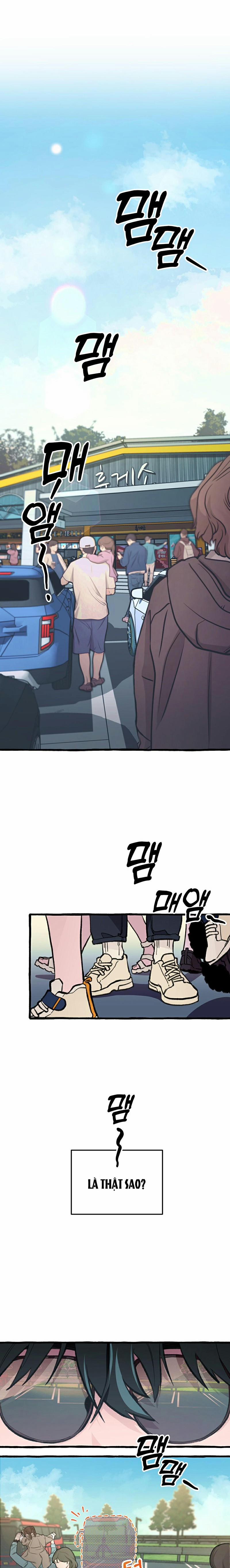 Chuyến Dã Ngoại Lần Thứ 11 1 trang 0