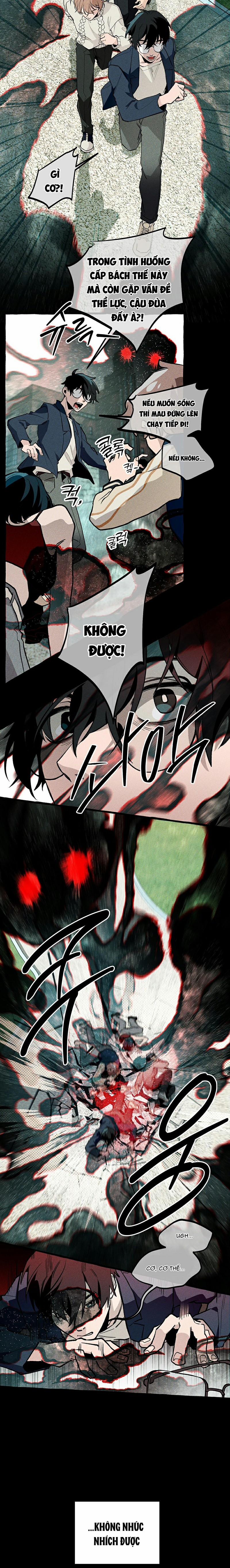 Chuyến Dã Ngoại Lần Thứ 11 6 trang 14