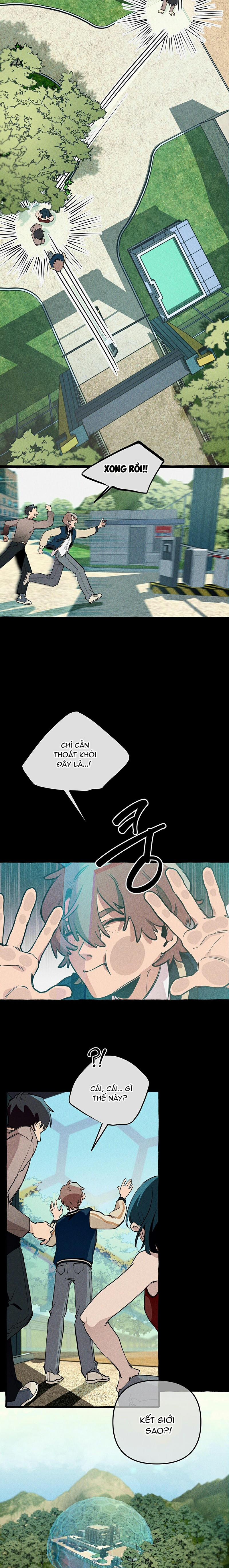 Chuyến Dã Ngoại Lần Thứ 11 6 trang 8