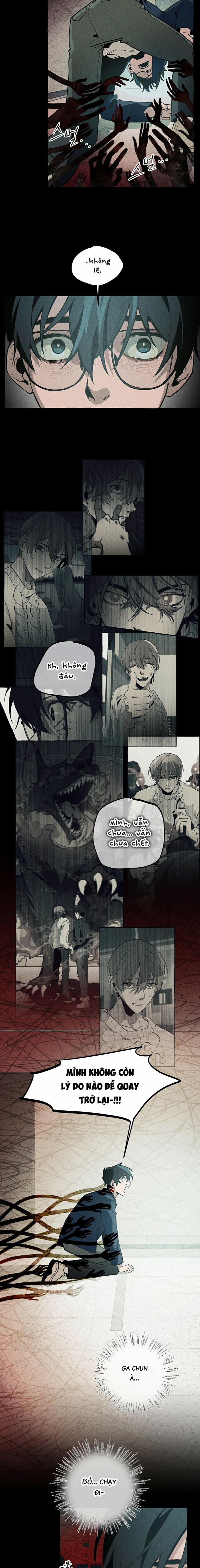 Chuyến Dã Ngoại Lần Thứ 11 7 trang 24