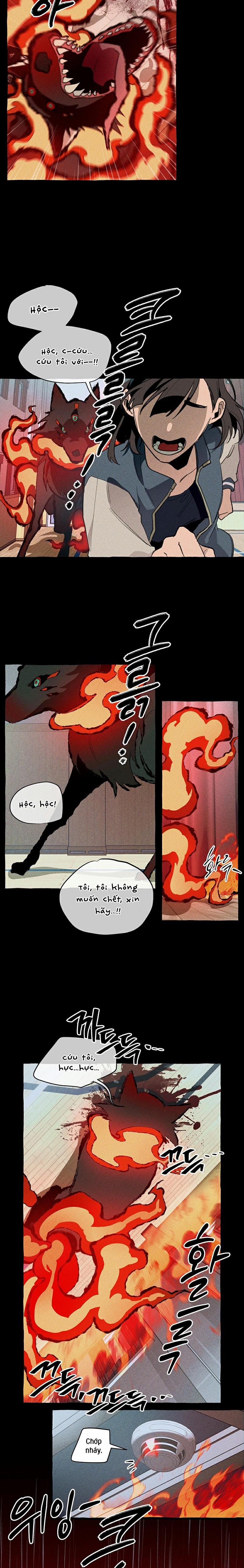 Chuyến Dã Ngoại Lần Thứ 11 9 trang 11