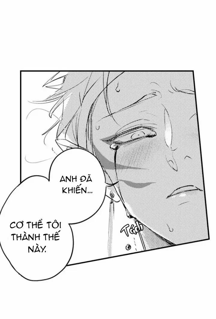 Chuyến Du Ngoạn Tây Phương Tình Thú 14 trang 15