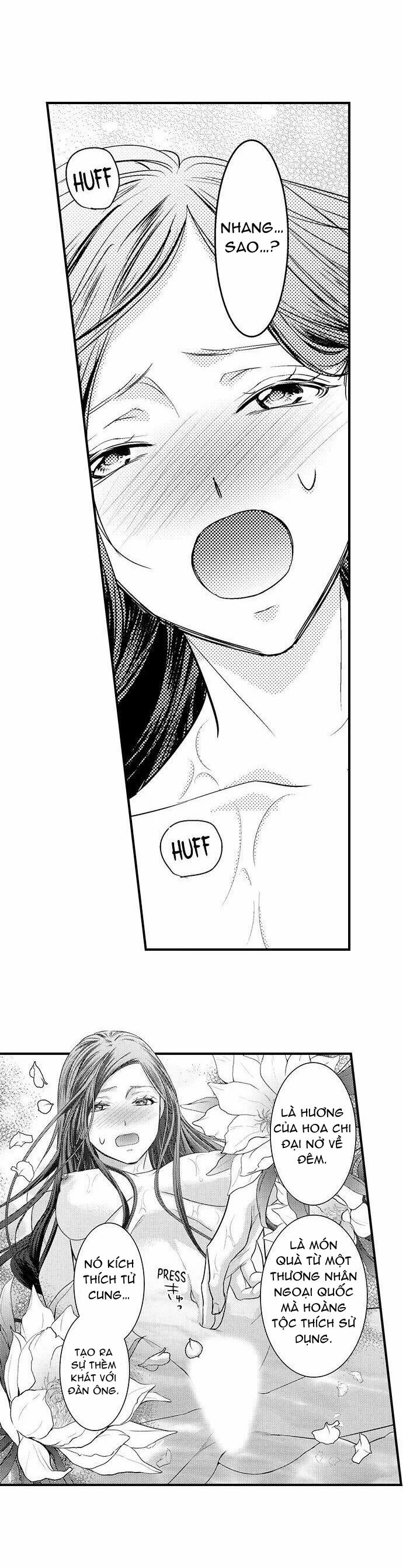 Chuyển Sinh Vào Thế Giới Khác ~ Nếu Muốn Trở Thành Nữ Hoàng Hãy Tìm Cách Để Được Hoàng Đế Sủng Ái Vào Ban Đêm 5.2 trang 3