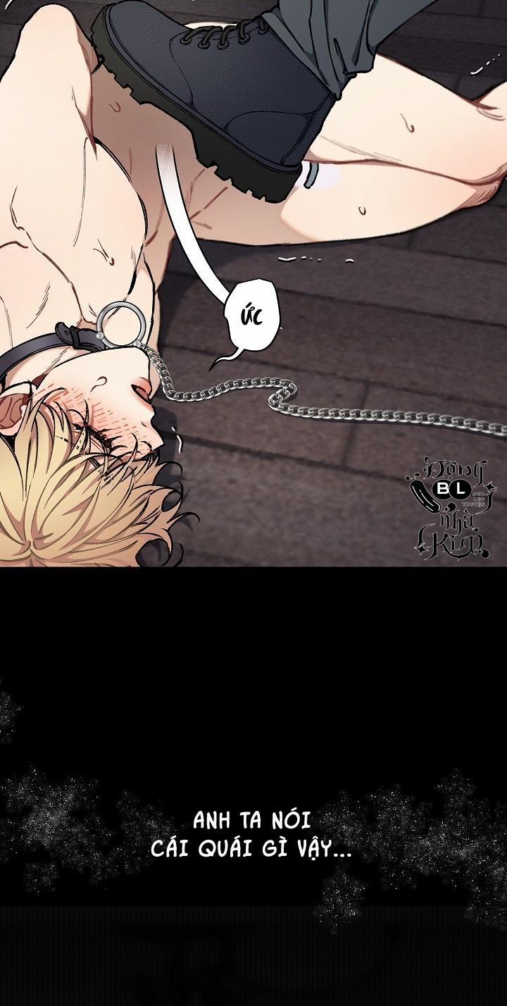 CHUYẾN TÀU ĐIÊN CUỒNG 32 trang 43