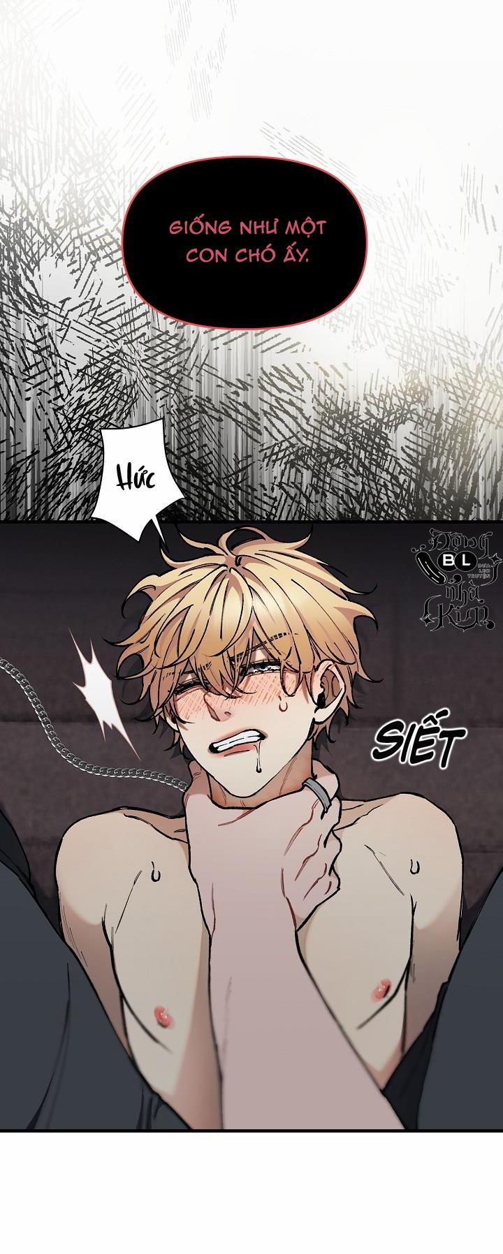 CHUYẾN TÀU ĐIÊN CUỒNG 32 trang 46