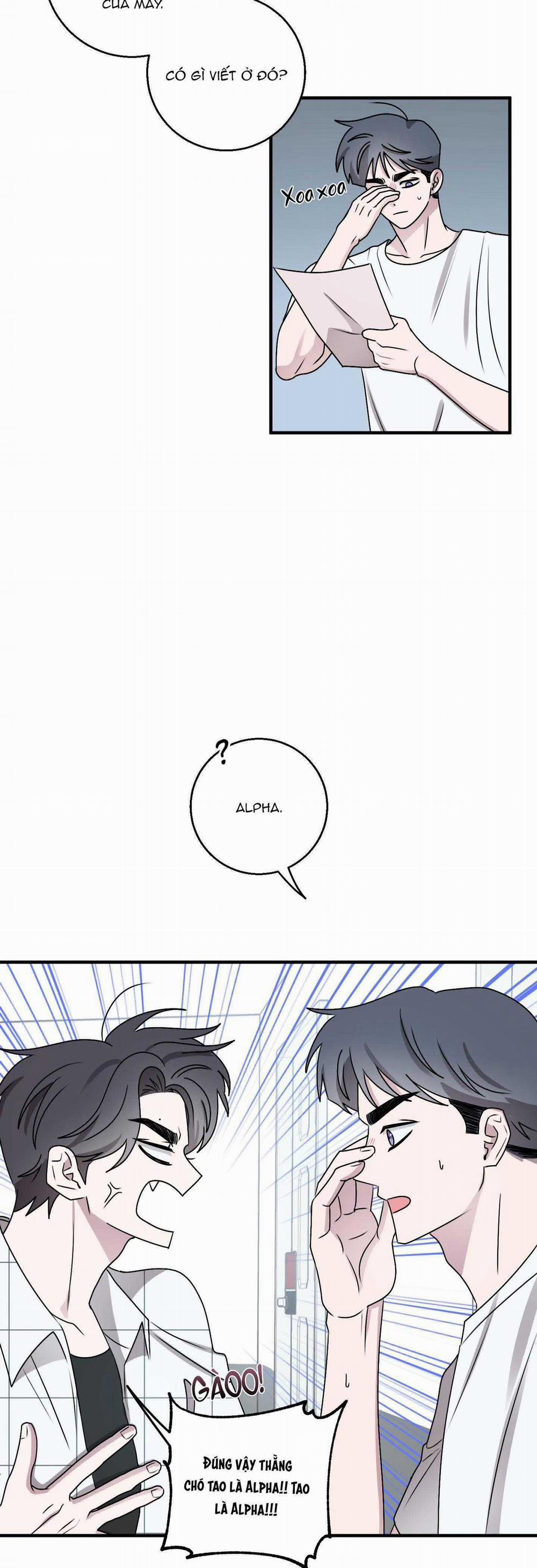 Chuyện Tình Alpha 12 trang 25