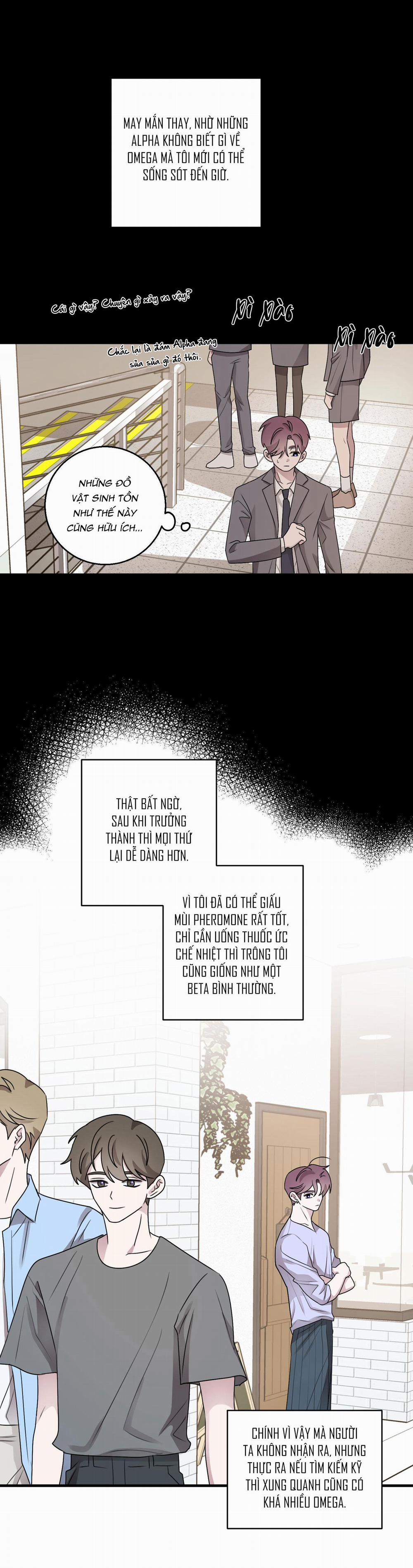 Chuyện Tình Alpha 21 trang 17