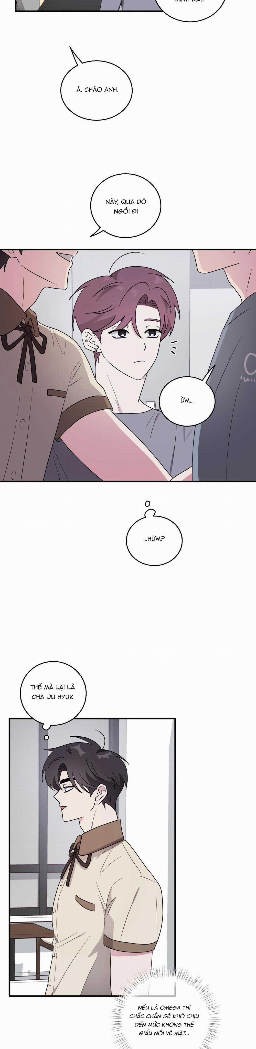 Chuyện Tình Alpha 24 trang 20