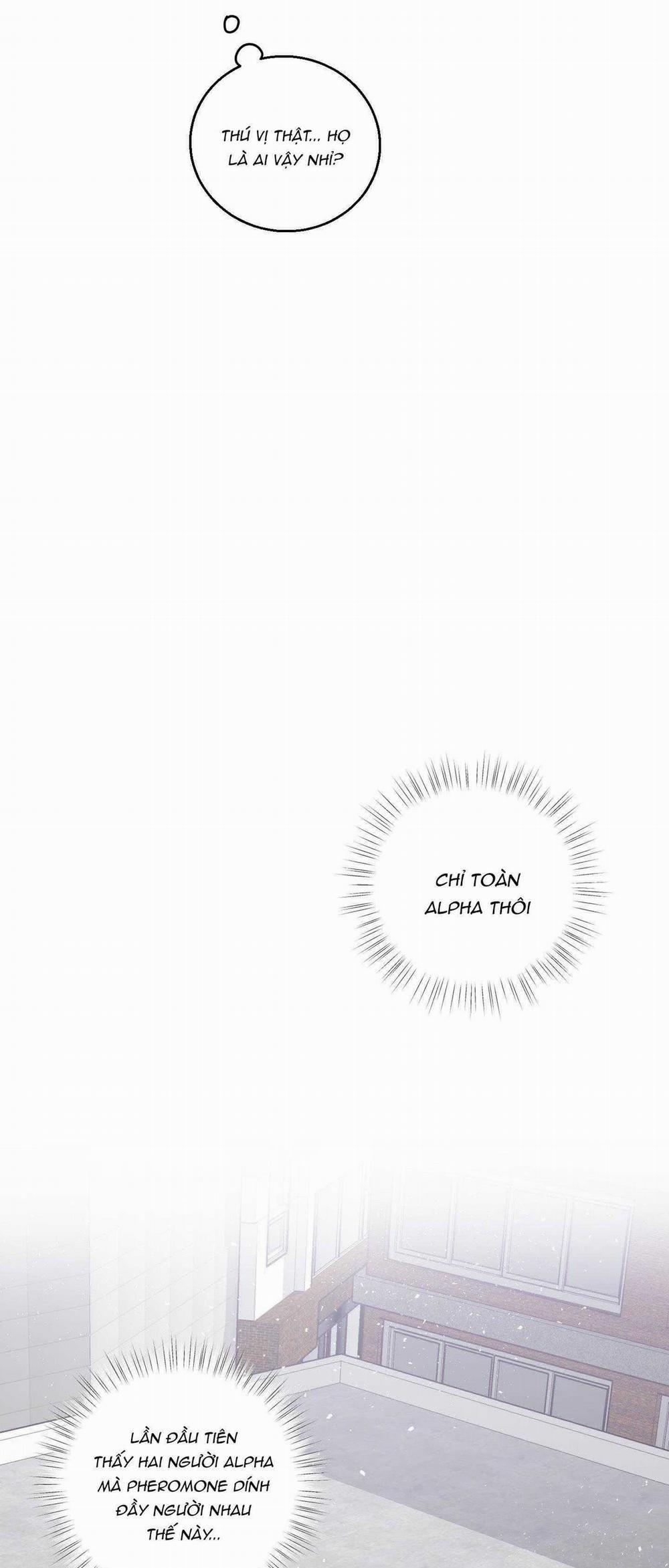 Chuyện Tình Alpha 24 trang 24