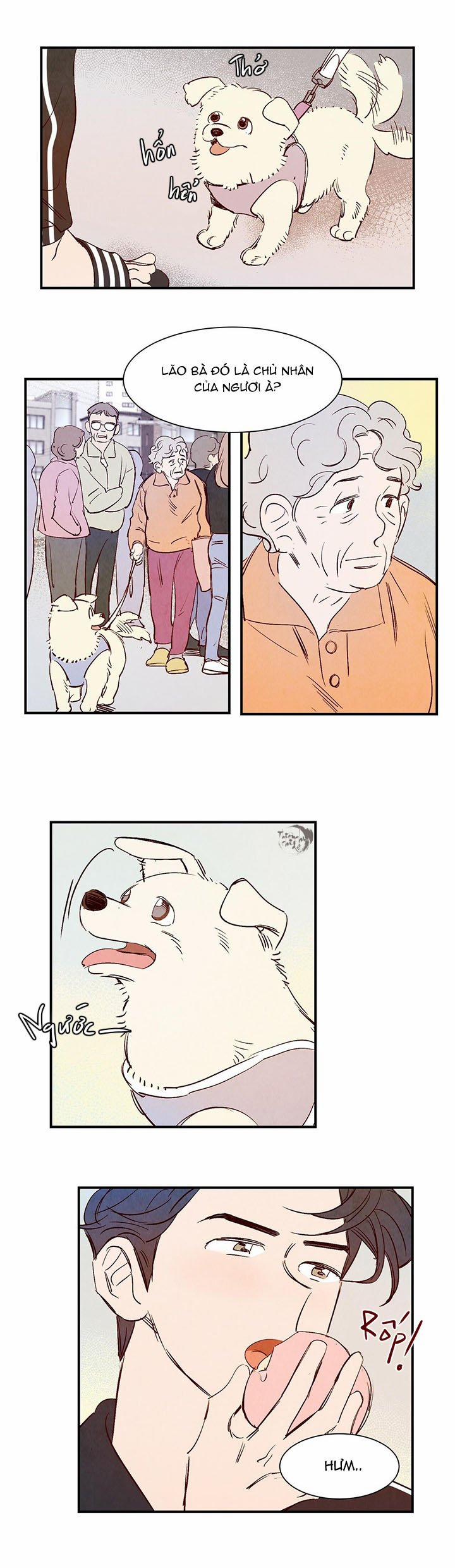 Chuyện Tình Của Woonwoo 5 trang 16