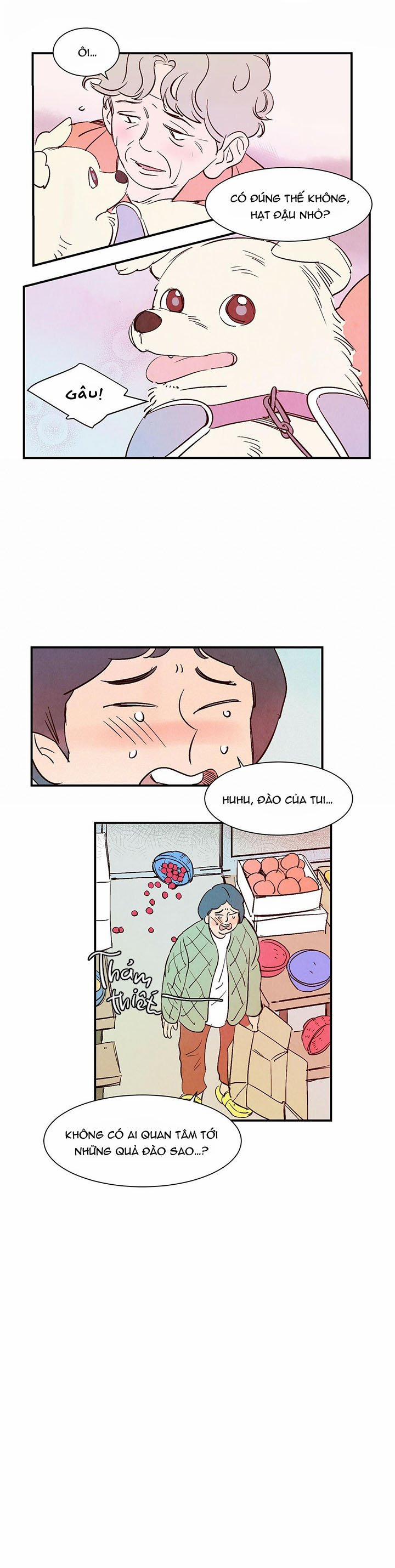 Chuyện Tình Của Woonwoo 6 trang 12