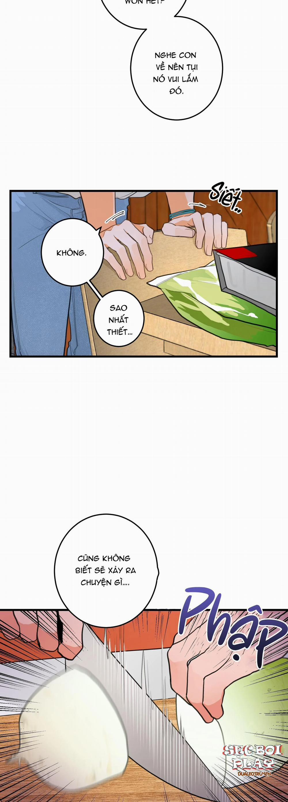 CHUYỆN TÌNH HOA LÊ NỞ 1 trang 13