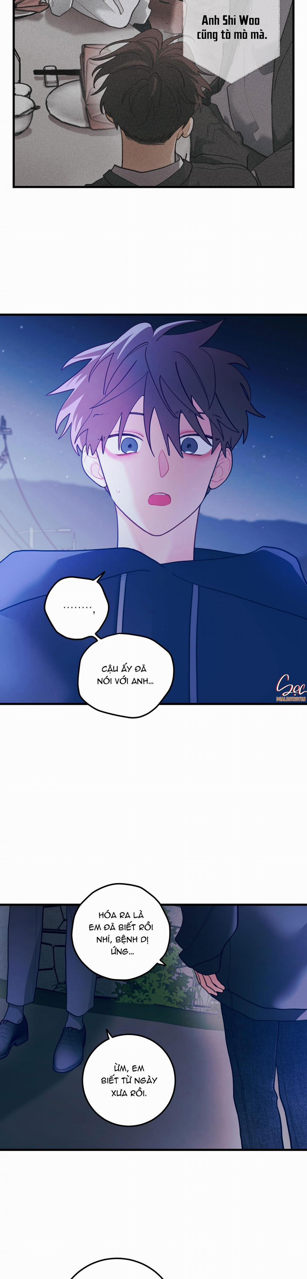 CHUYỆN TÌNH HOA LÊ NỞ 59 END SS2 trang 17