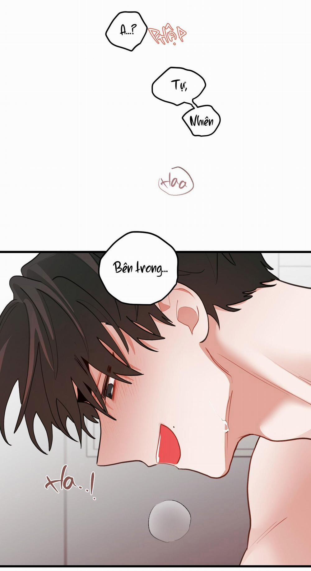 CHUYỆN TÌNH HOA LÊ NỞ 71 trang 37